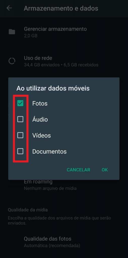 Agora, você pode selecionar quais tipos de mídia serão baixados automaticamente. Se preferir, pode não selecionar nenhuma e aí todo download de mídia terá que ser autorizado por você. Repita esse processo para cada tipo de conexão